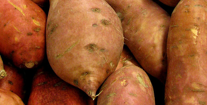 Read more about the article Sweet potato – Why are you so famous?